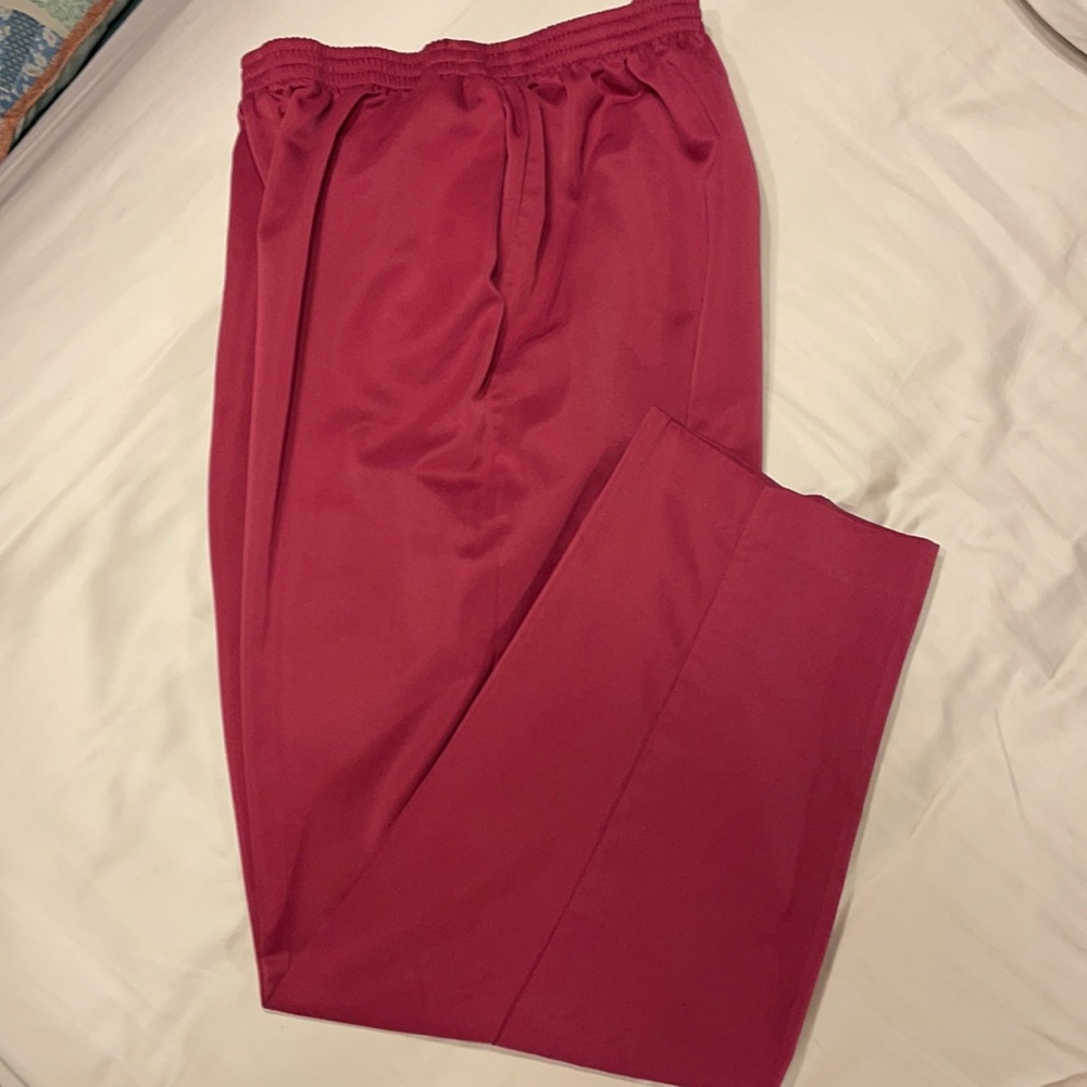 Beautiful berry colored elastic waist pants. 16W